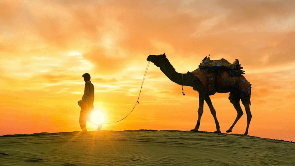 Rajasthan-visionlike